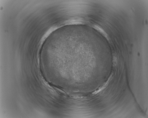 X0000070421419200606231842