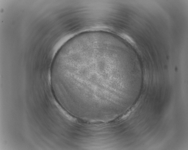 X0000070421420200606231842