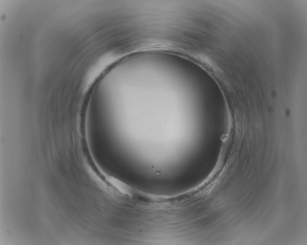 X0000070421422200606231842