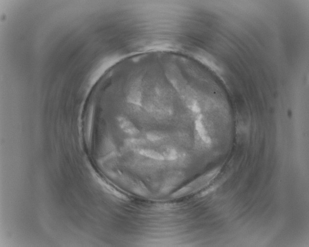 X0000070421423200606231842