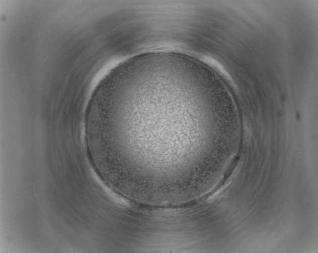 X0000070421424200606231842