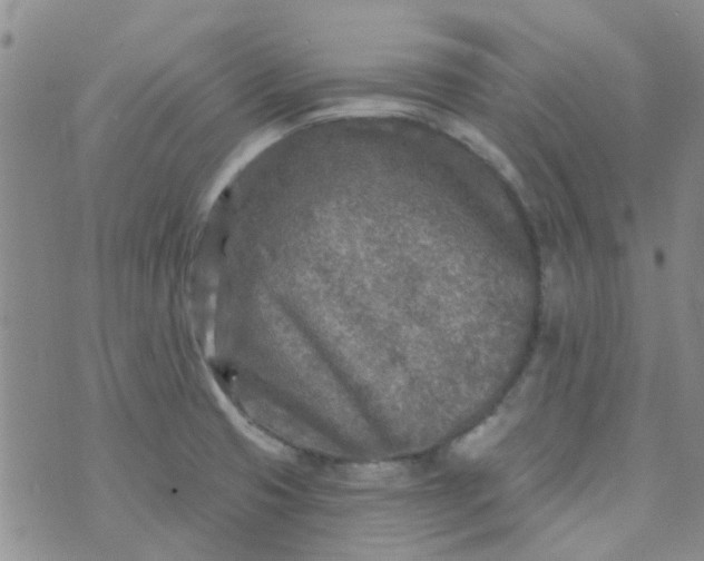 X0000070421425200606231842