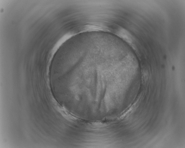 X0000070421427200606231842