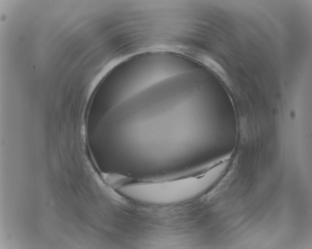 X0000070421428200606231842