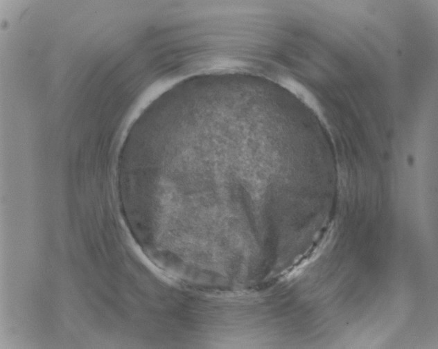 X0000070421429200606231842