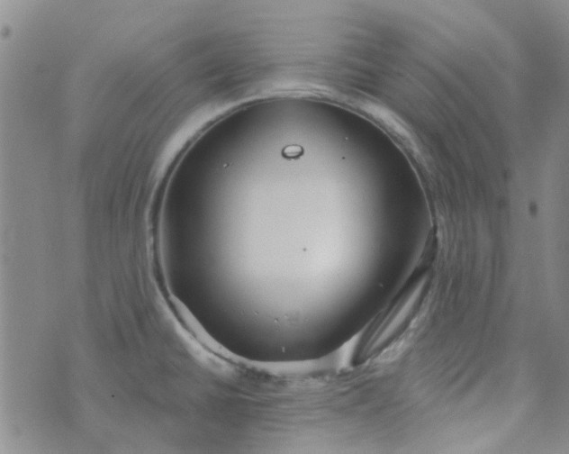 X0000070421430200606231842