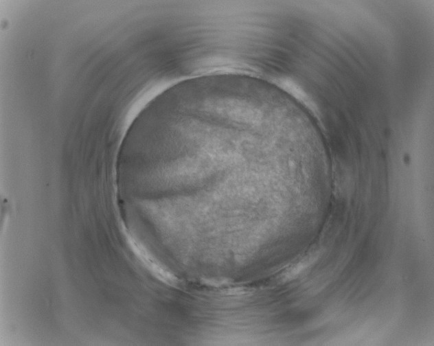 X0000070421431200606231842