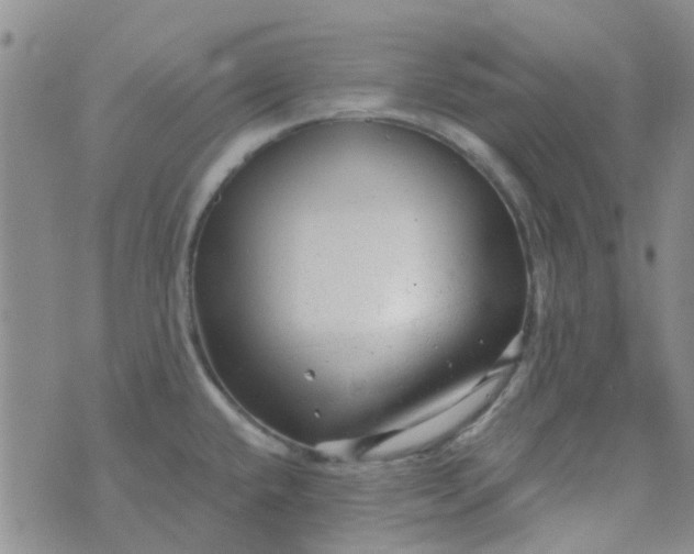 X0000070421432200606231842