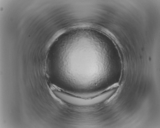 X0000070421433200606231842