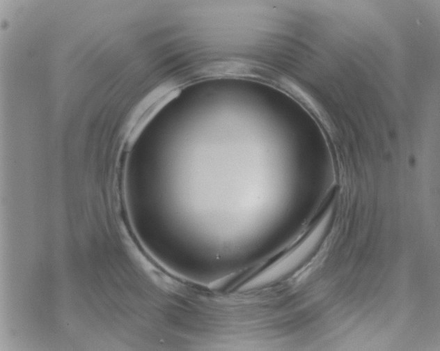 X0000070421434200606231842