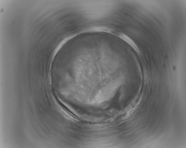 X0000070421436200606231842