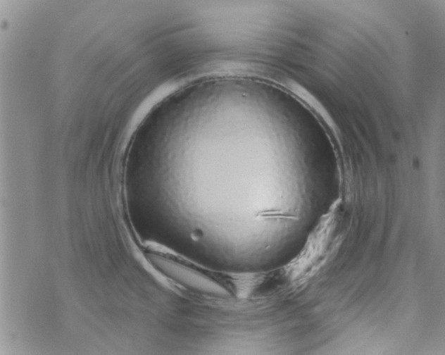 X0000070421437200606231842