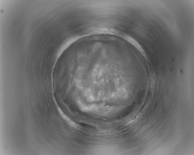 X0000070421439200606231842