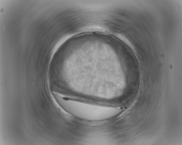 X0000070421440200606231842