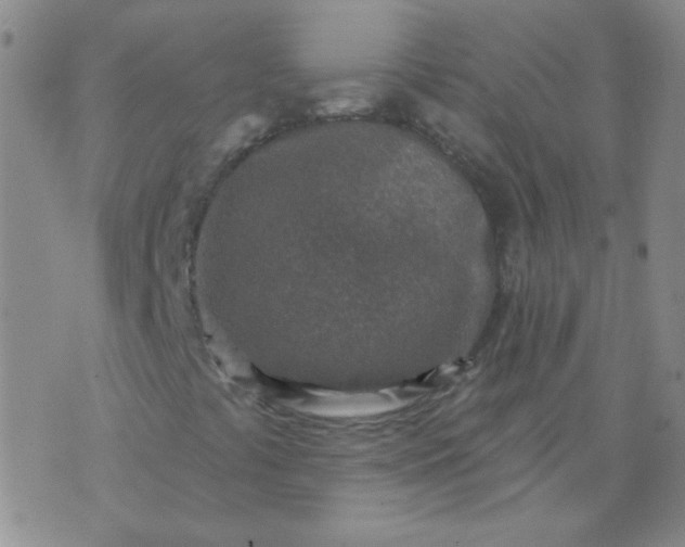 X0000070421441200606231841