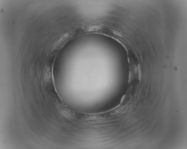 X0000070421443200606231841