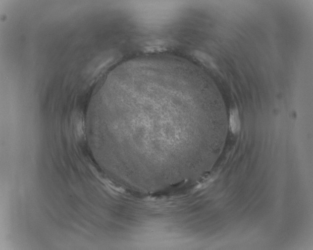 X0000070421444200606231841