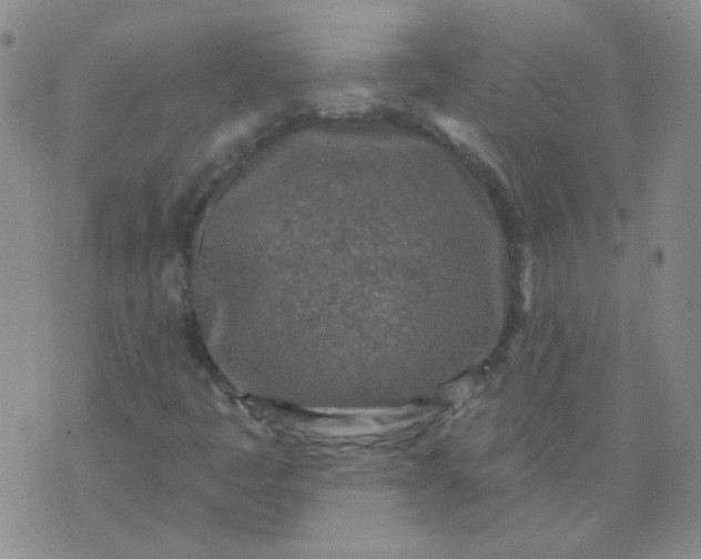 X0000070421445200606231841