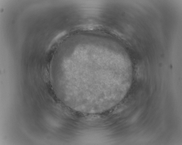 X0000070421446200606231841