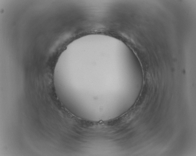 X0000070421447200606231841