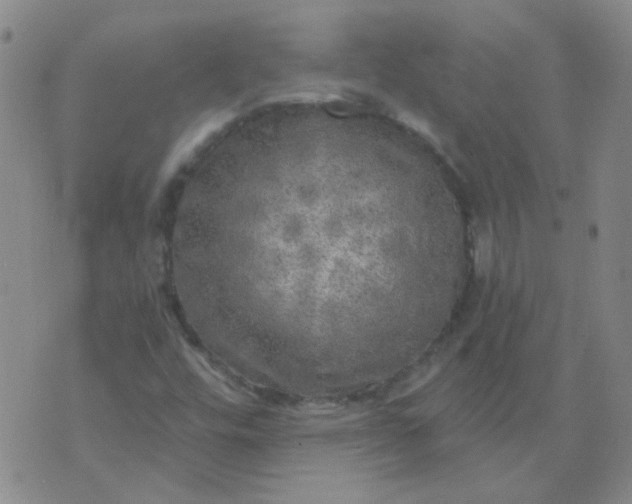 X0000070421448200606231841