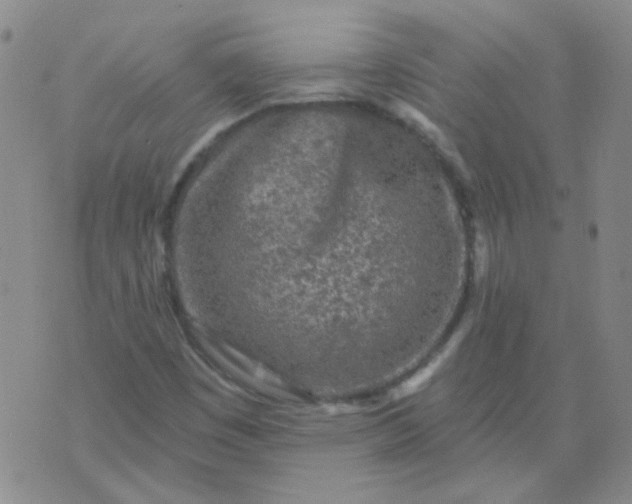 X0000070421449200606231841