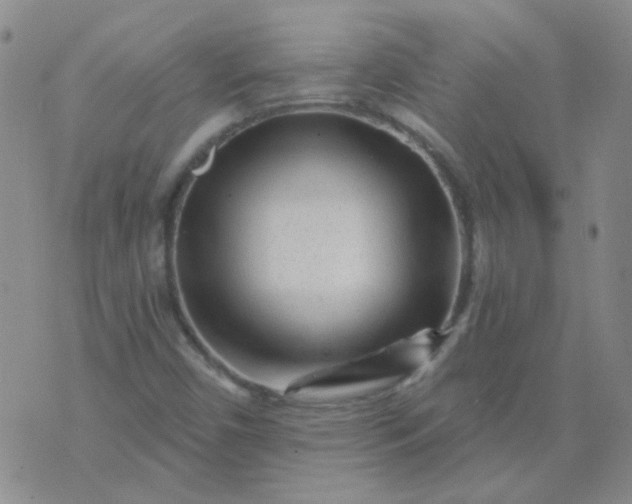 X0000070421450200606231841