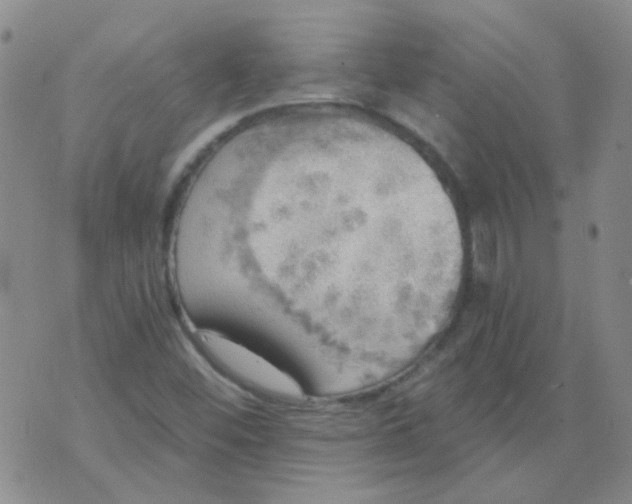 X0000070421452200606231841