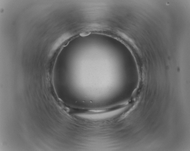 X0000070421453200606231841