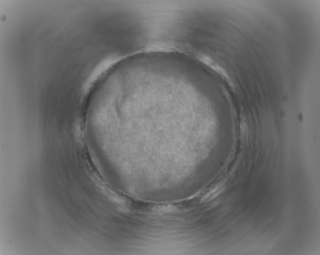 X0000070421454200606231841