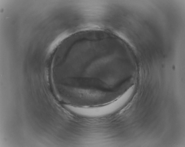 X0000070421455200606231841