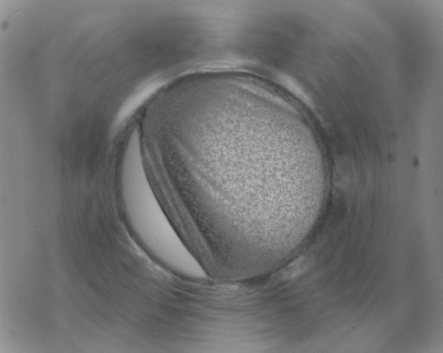 X0000070421456200606231841