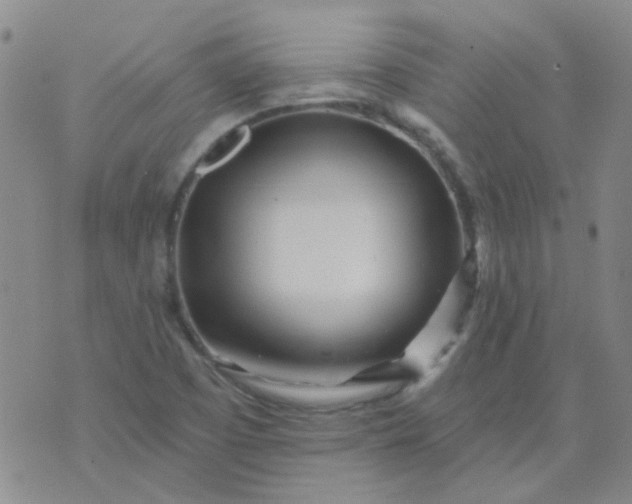 X0000070421457200606231841