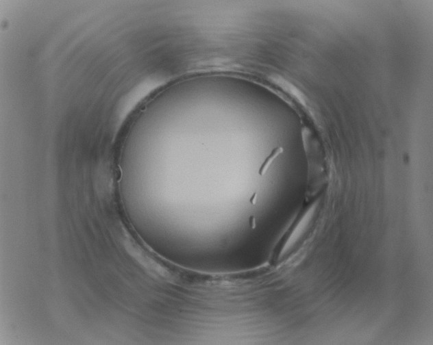 X0000070421458200606231841