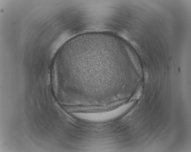 X0000070421459200606231841