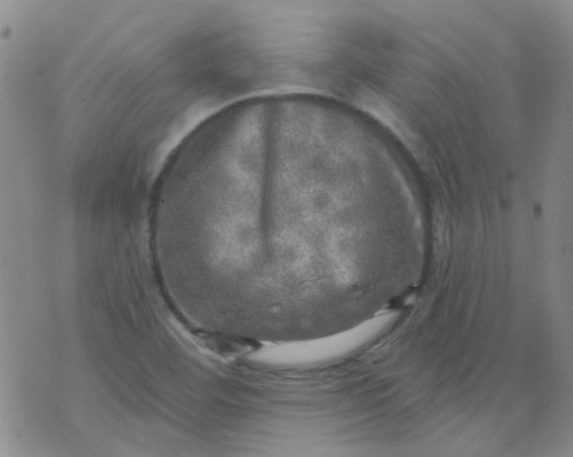 X0000070421460200606231841