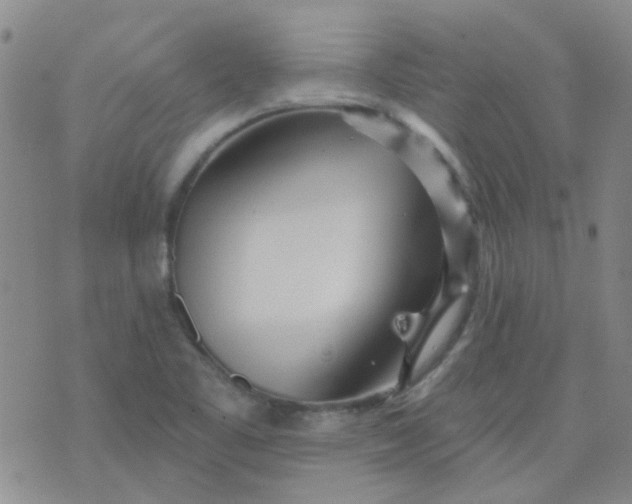 X0000070421461200606231841