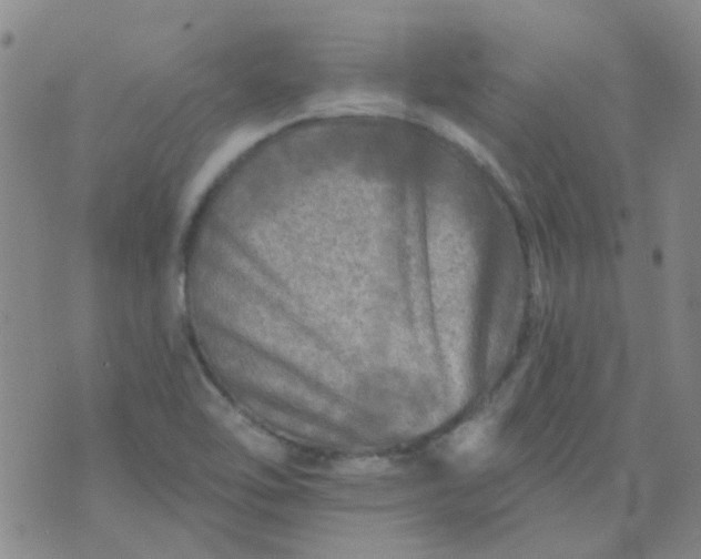 X0000070421462200606231841