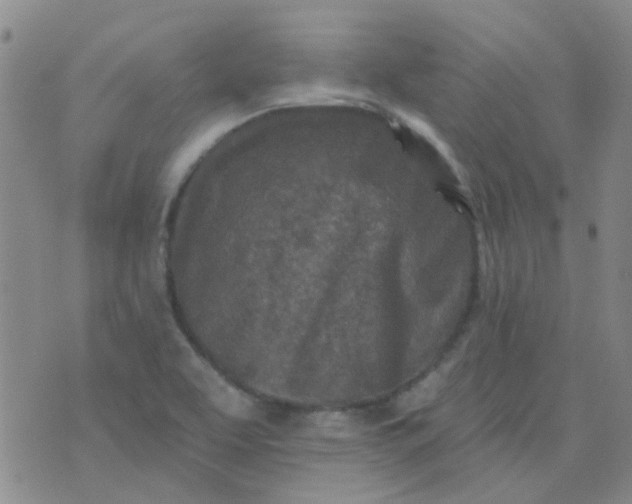 X0000070421463200606231841