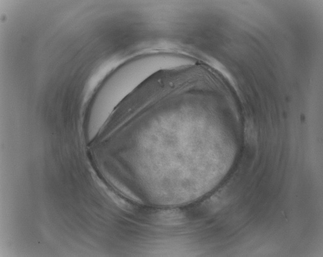 X0000070421464200606231841