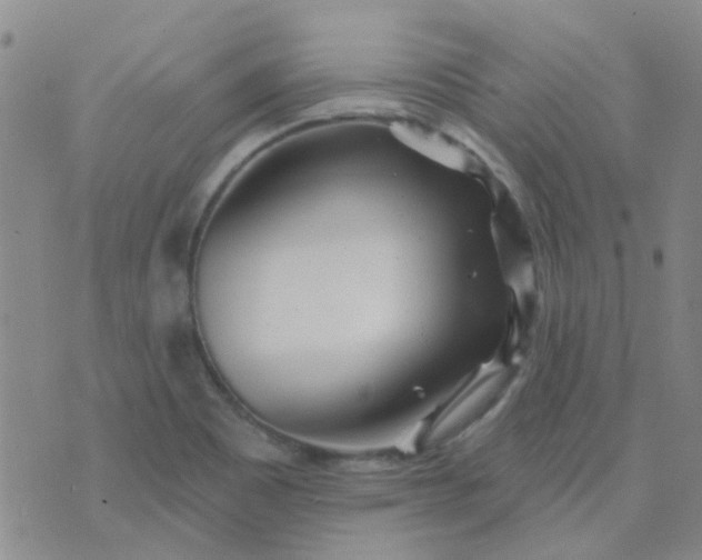 X0000070421465200606231841