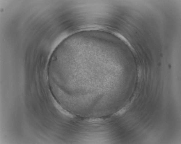 X0000070421466200606231841