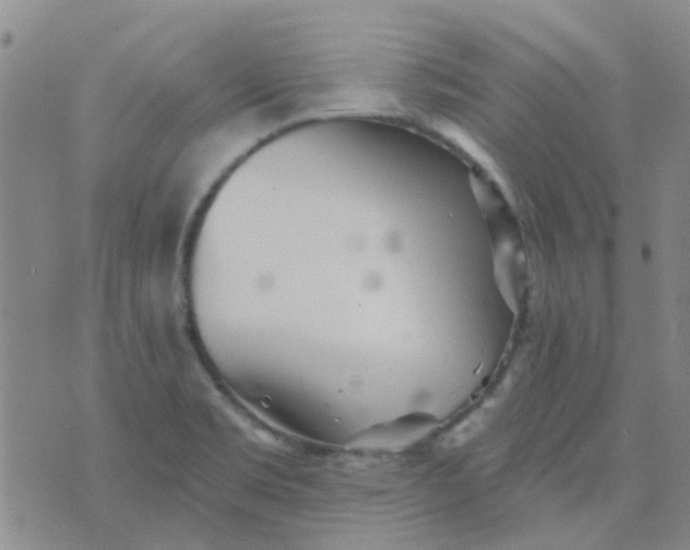 X0000070421469200606231841