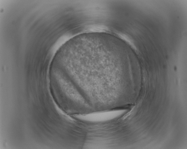 X0000070421471200606231841