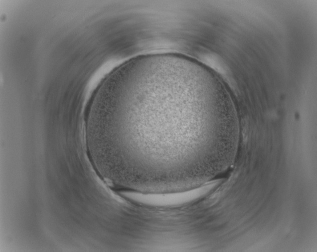 X0000070421472200606231841