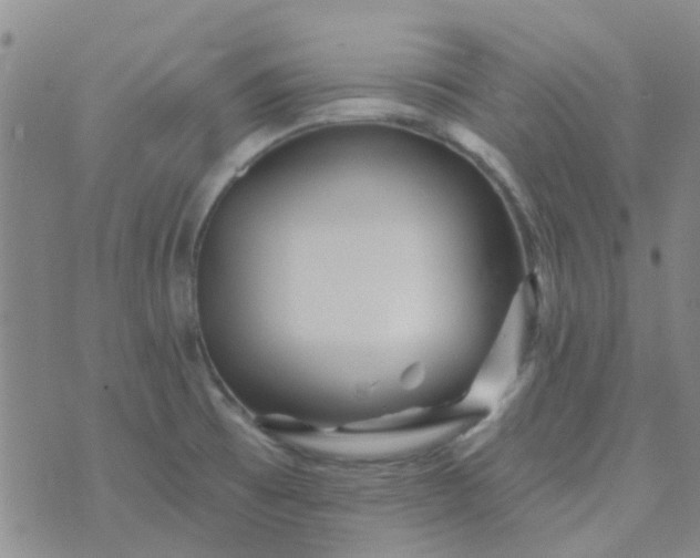 X0000070421473200606231841