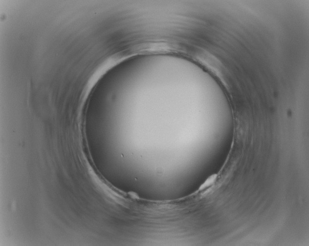 X0000070421475200606231841