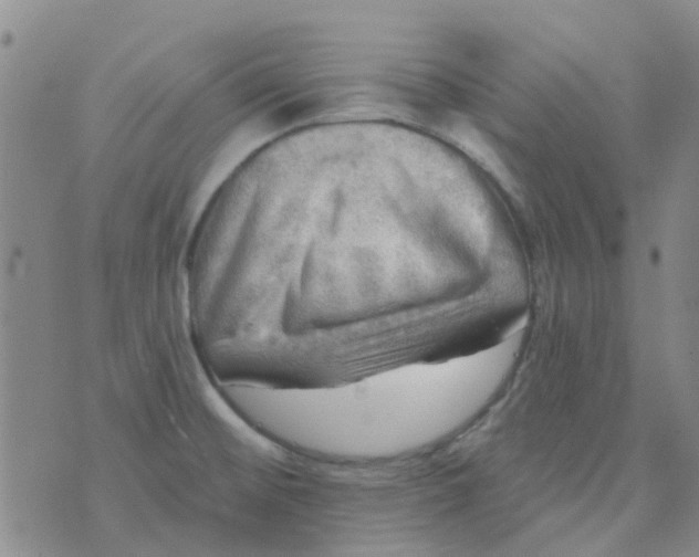 X0000070421476200606231841