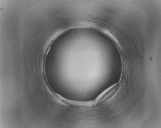 X0000070421477200606231841