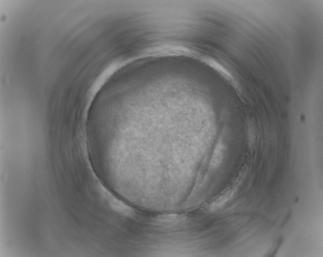 X0000070421478200606231841